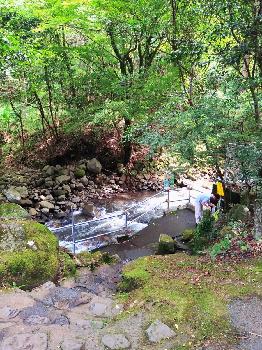 botreetee's tweet photo. #吉無田水源 へ　水汲みに。

森林が含む伏流水と、地下水脈の水が一緒となり湧いて出てくる水で、「くまもと名水百選」に選ばれています。

まず #水神社 にお参りし、鳥居横の階段を降りたらすぐに水汲み場です。

神社の下から水が湧いているようにも見えます。

同じ敷地内に、（続く）… https://t.co/ClYSnKyEsS
