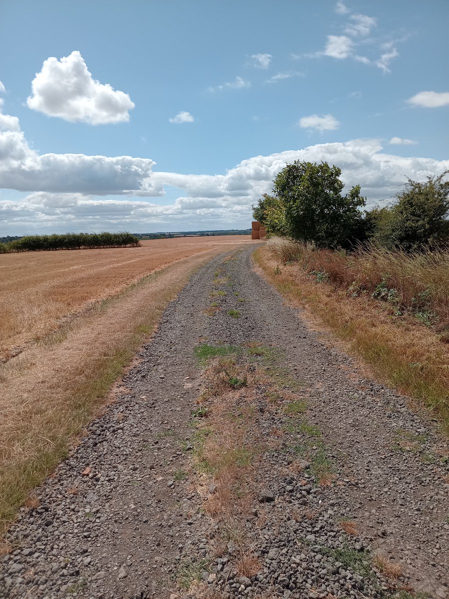 phil0073's tweet photo. In #HallHomeClose*,on the #Scaldwell2Faxton way in July . *The field by the site of #FaxtonHall of #FaxtonLostVillage.
#FaxtonFields, #Northamptonshire.#PhilOnaBike #WednesdayWander #FridayFields #FootpathFriday #BywayFriday #clouds https://t.co/aiiHXDP8O9