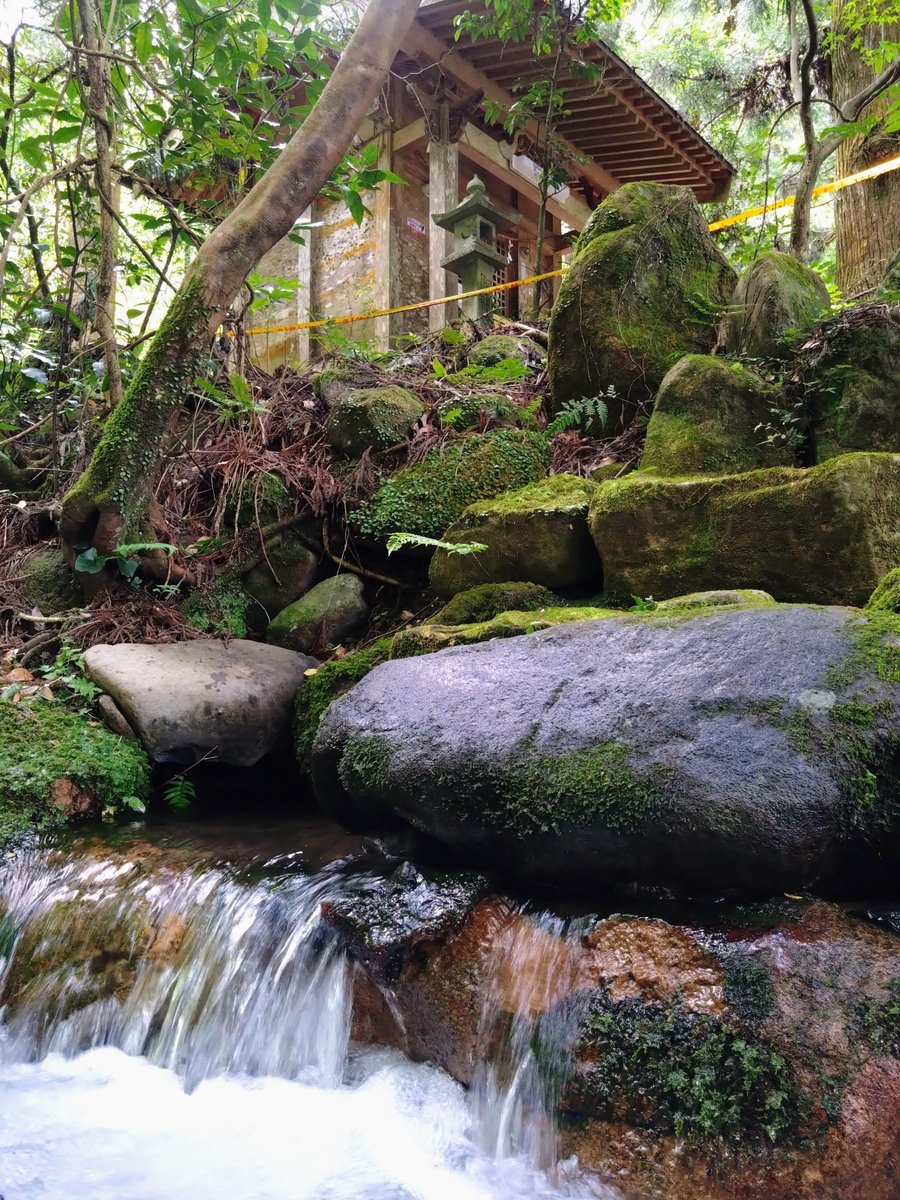 botreetee's tweet photo. #吉無田水源 へ　水汲みに。

森林が含む伏流水と、地下水脈の水が一緒となり湧いて出てくる水で、「くまもと名水百選」に選ばれています。

まず #水神社 にお参りし、鳥居横の階段を降りたらすぐに水汲み場です。

神社の下から水が湧いているようにも見えます。

同じ敷地内に、（続く）… https://t.co/ClYSnKyEsS