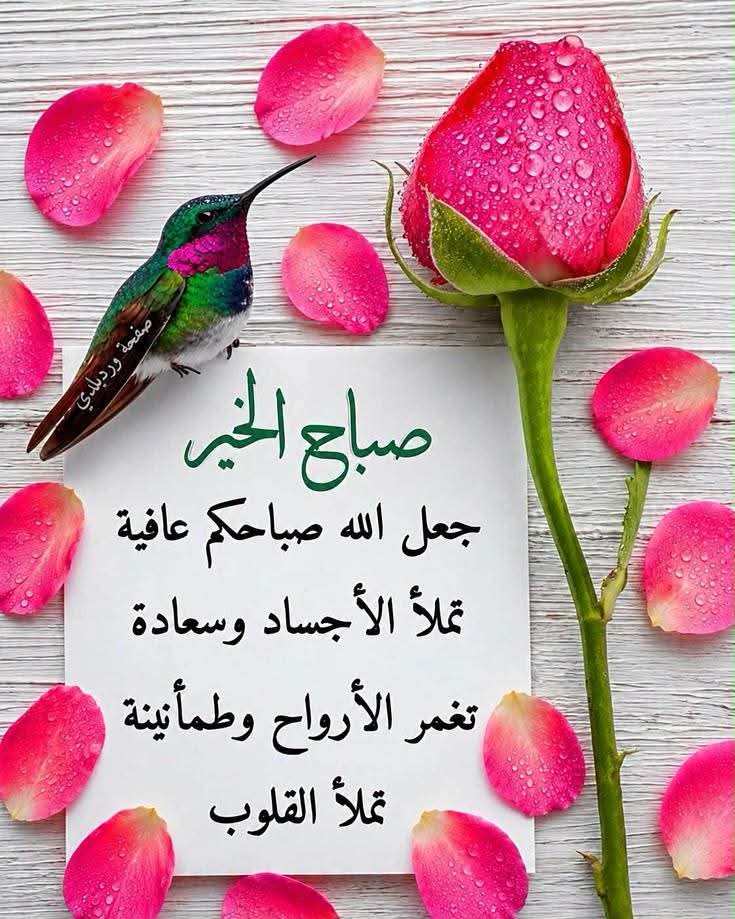 imanismaeil56's tweet photo. https://t.co/daETLPG9Ua