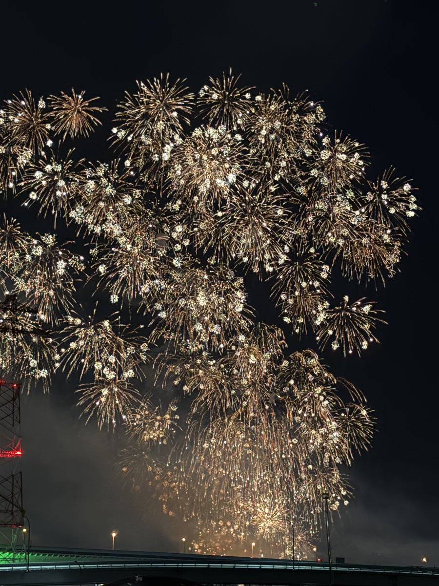 suido_pro_'s tweet photo. 先日の花火大会の様子をおすそ分け！
夜空に咲く花のようです🎆
#広島夢みなと花火大会
#企業公式つぶやき部 https://t.co/czBt0B7RBD