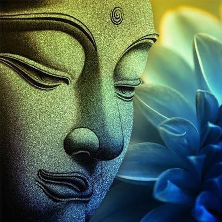 gandhimohanr12's tweet photo. Peace comes from within.  Do not seek it without - buddha ! 
#moneytree🌲
#Archer✍🏻✍🏻✍🏻💚♥️ https://t.co/FaGWDjtrLP