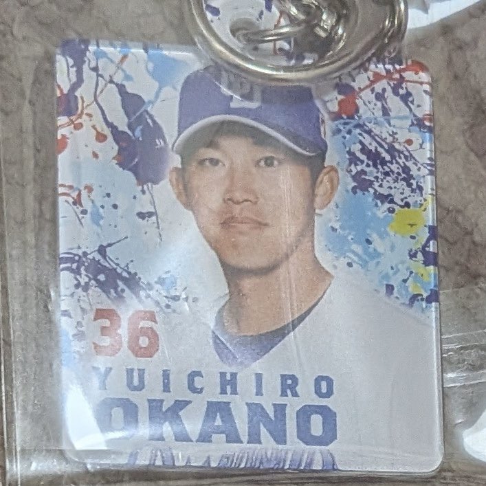 Ace_D0422's tweet photo. フレッシュオールスターでキーホルダーの金具が外れて落としました。お心当たりある方はご連絡いただけると嬉しいです😢
場所：ハードオフエコスタジアム 一塁側内野、ライト外野、球場正面駐車場、シャトルバス付近
新潟駅周辺
東京駅周辺
#中日ドラゴンズ #フレッシュオールスター https://t.co/1Nd1vajPFq