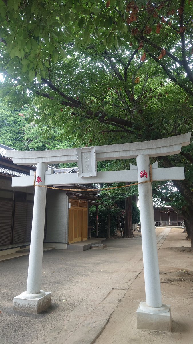 masa6907's tweet photo. 睡眠時間が平均8.5時間確保できるように
なってきて来月から職場復帰します。
今回は元請けさんたってのお願いで。
やれるだけがんばってみます。
今日は見守って下さった氏神様にご挨拶。
珍しく酷暑じゃなくて嬉しい。
今日も１日お元気で🎵 https://t.co/HhFiPyQeIW