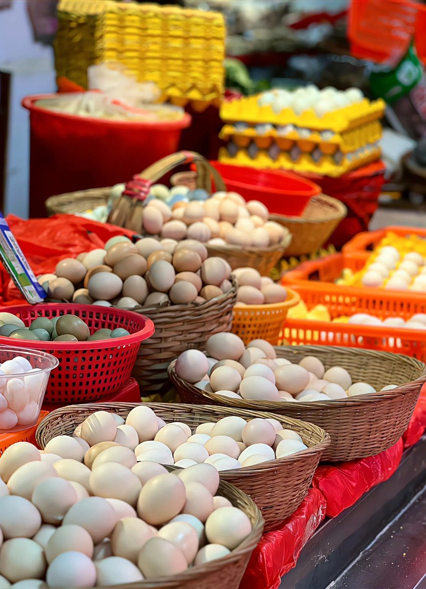 Pro228_228's tweet photo. Fresh organic veggies u0026 local eggs just in! Perfect for your weekly home cooking. Grab yours before they’re gone! https://t.co/dYYJGyWIS2