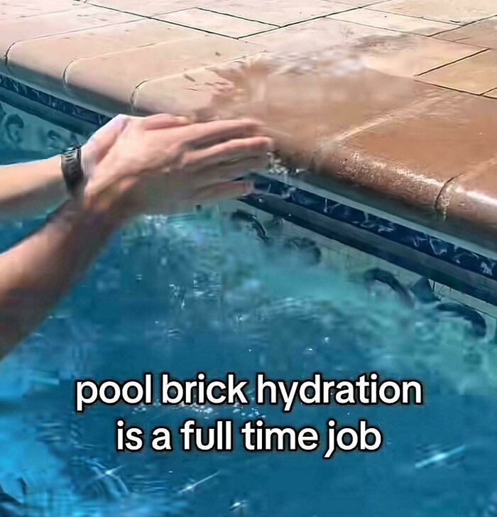 WholesomeMeme's tweet photo. https://t.co/ScSQ5nm9SH
