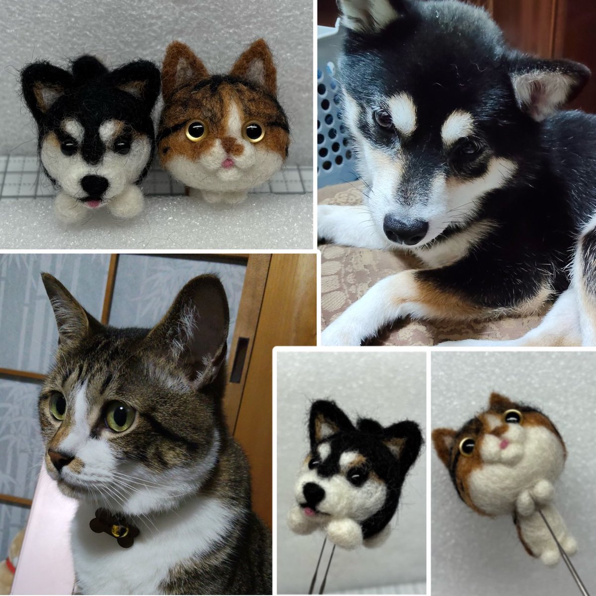 久しぶりの羊毛フェルトのご依頼🐕 可愛いキジ白ちゃんと黒柴ちゃん