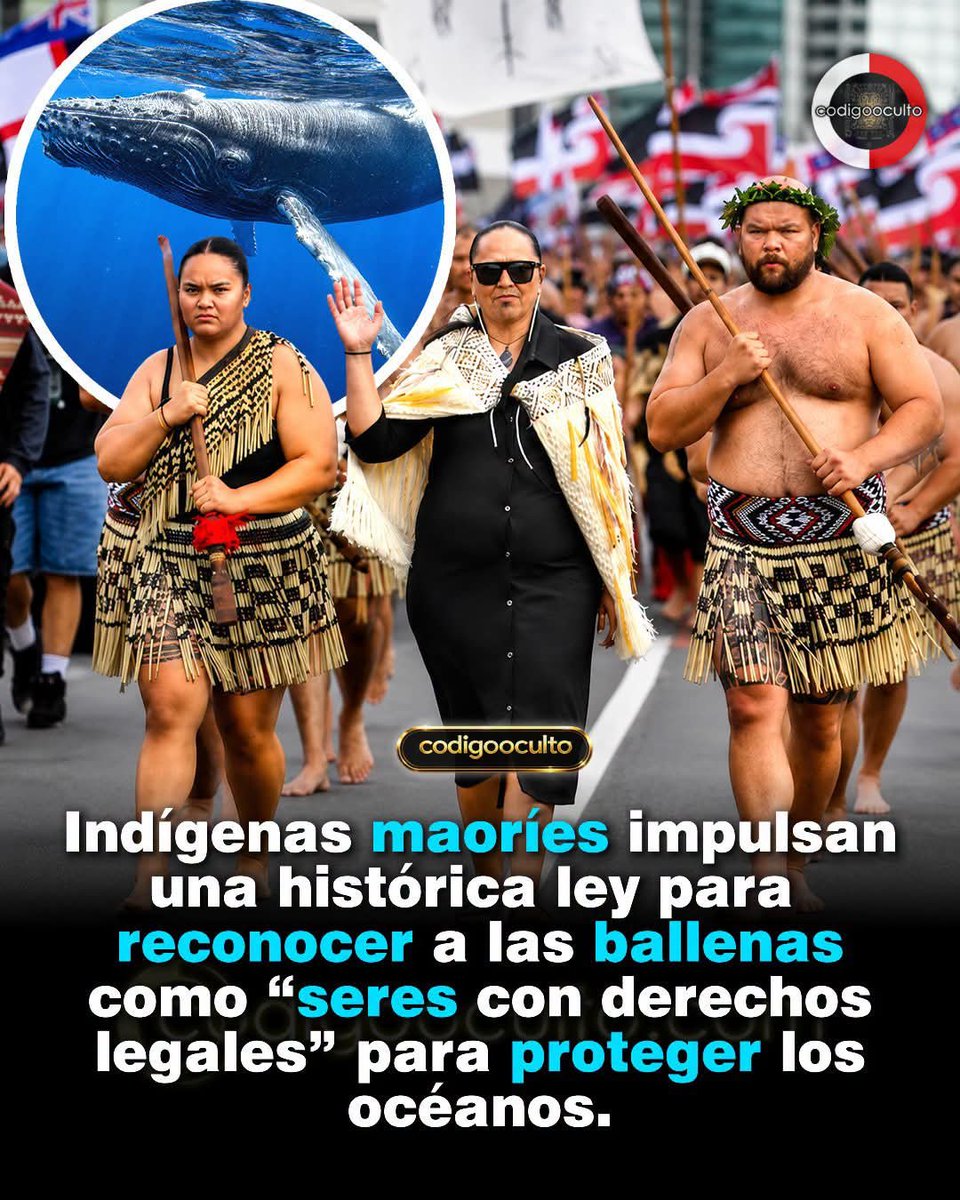 Loretitolinda's tweet photo. https://t.co/wAK7A23aNz