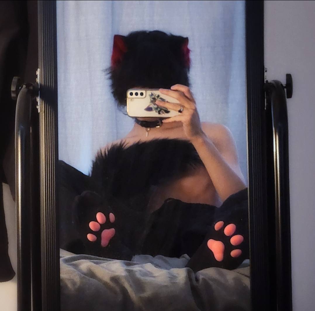catboylintang's tweet photo. my paws are soft and my tail is fluffy >:3 https://t.co/IihArp9eKz