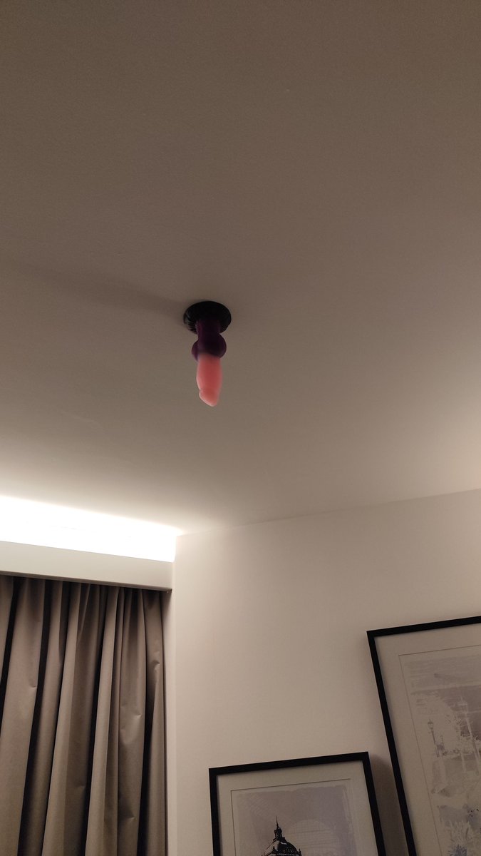 DrouinsAD's tweet photo. Decorando el hotel 
Me preguntó la sorpresa de la mucama https://t.co/Xr04Rjesa5