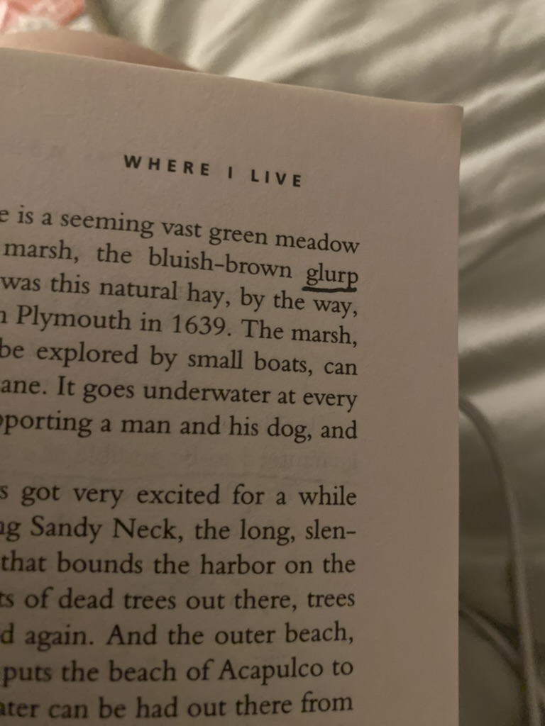 akibootybounc30's tweet photo. i lent a guy a vonnegut anthology once &amp; said he could mark it up and he gave it back having given up after the first story &amp; this was all he left me https://t.co/TDjQnNFZAj
