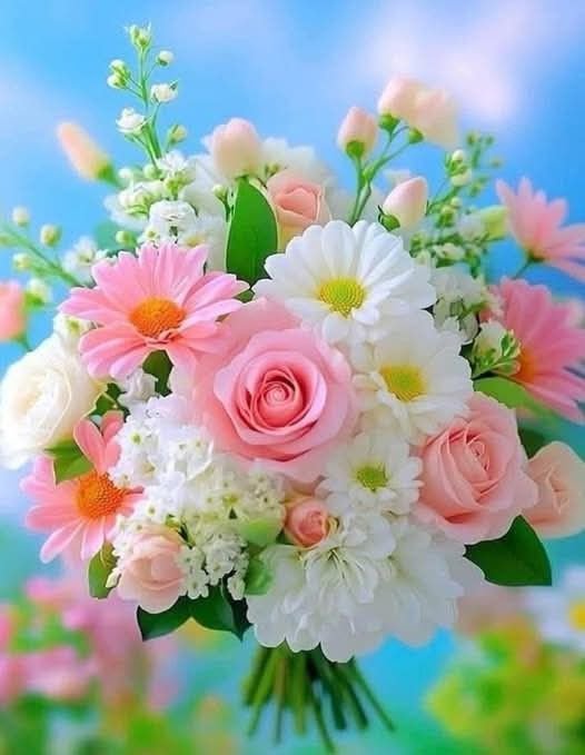 Sniper_74963's tweet photo. Good morning ladies and Gentlemen 😜 https://t.co/tXpJqCX10E