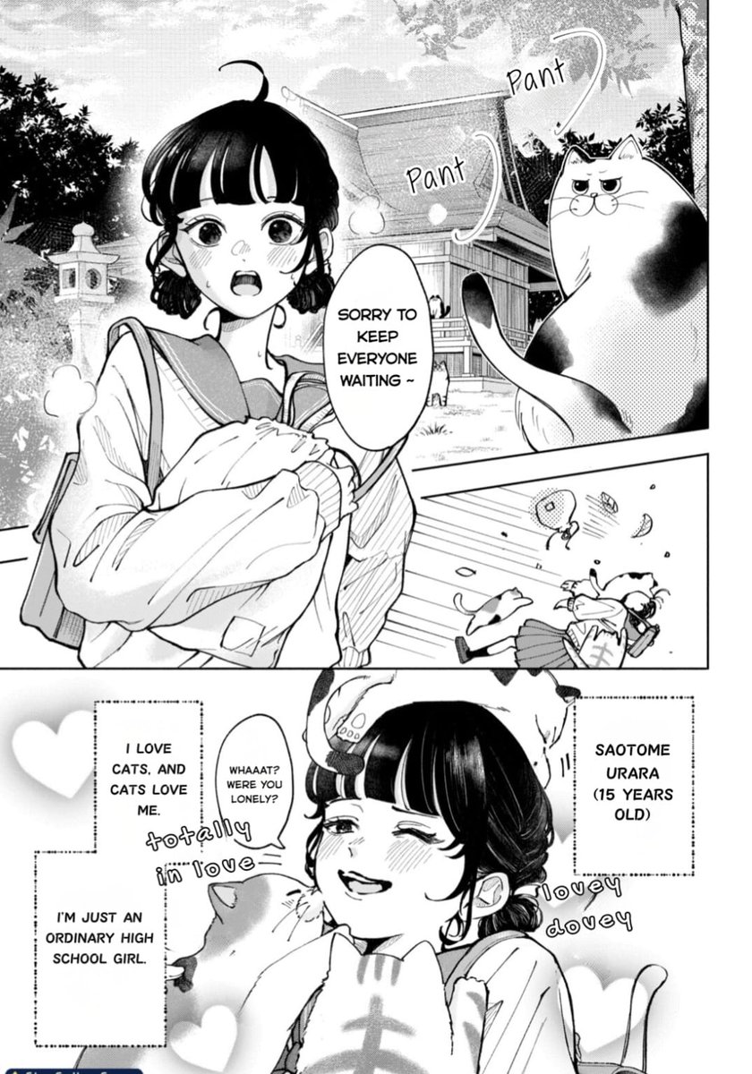 AngelD1322's tweet photo. estaba curioseando una revista y encontré un manga que me recordó mucho a hitting rewind with you (que es de mis shoujos favs actuales) por el humor y el dibujo hermoso, con un plus de GATOS, así que me puse feliz, pero luego buscando encontré que terminó con 4 capítulos😭💔 https://t.co/L4IMyc0GST