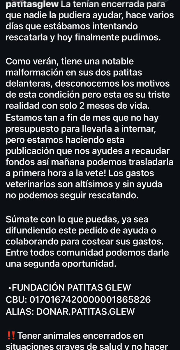 labestiapau's tweet photo. Porfavor lean este caso y ayuden con lo que puedan y compartan 🙏🏻🙏🏻🙏🏻

•FUNDACIÓN PATITAS GLEW
CBU: 0170167420000001865826
ALIAS: DONAR.PATITAS.GLEW https://t.co/MZrJXFA5Xs