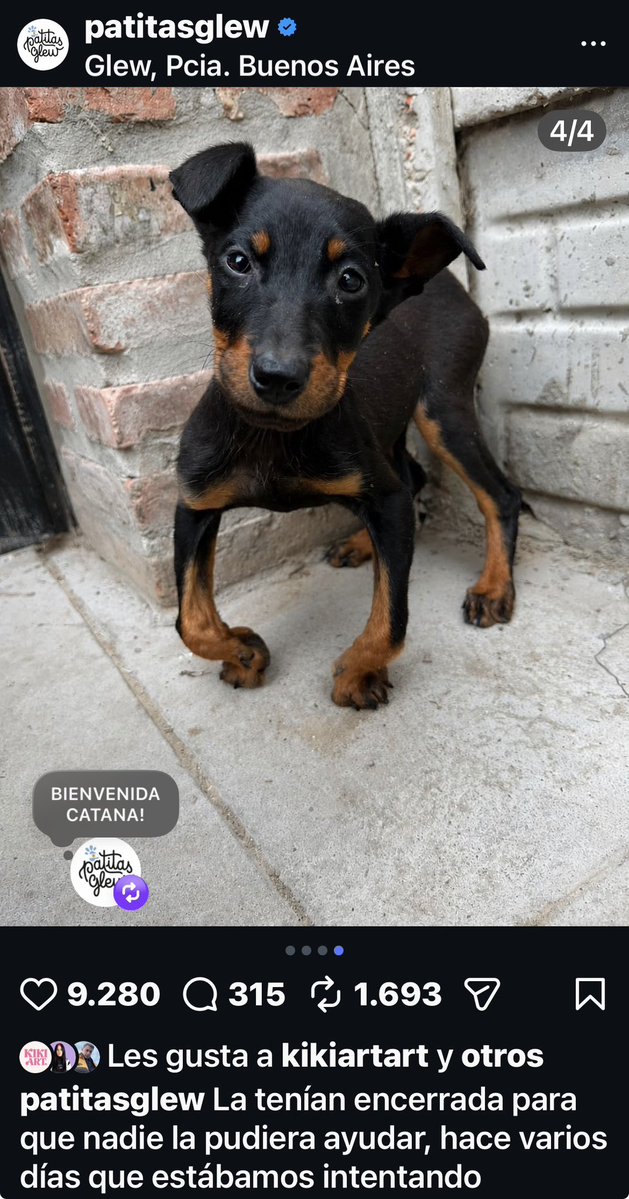 labestiapau's tweet photo. Porfavor lean este caso y ayuden con lo que puedan y compartan 🙏🏻🙏🏻🙏🏻

•FUNDACIÓN PATITAS GLEW
CBU: 0170167420000001865826
ALIAS: DONAR.PATITAS.GLEW https://t.co/MZrJXFA5Xs