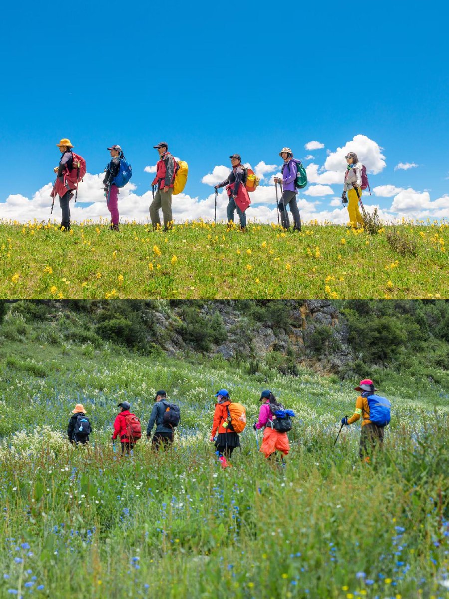 ShenaAndreta's tweet photo. Just wrapped up a perfect weekend hike with the team—fresh mountain air, scenic views, and zero WiFi vibes. Grateful for these moments away from the screen. https://t.co/ee4mWbyK8g