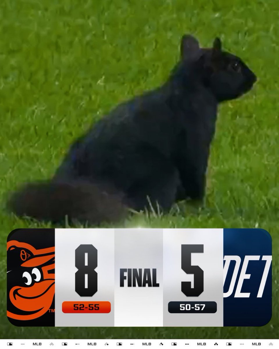 GOsisike's tweet photo. The Orioles squirrel away a win vs. the Tigers! https://t.co/Rn4X13VCS2