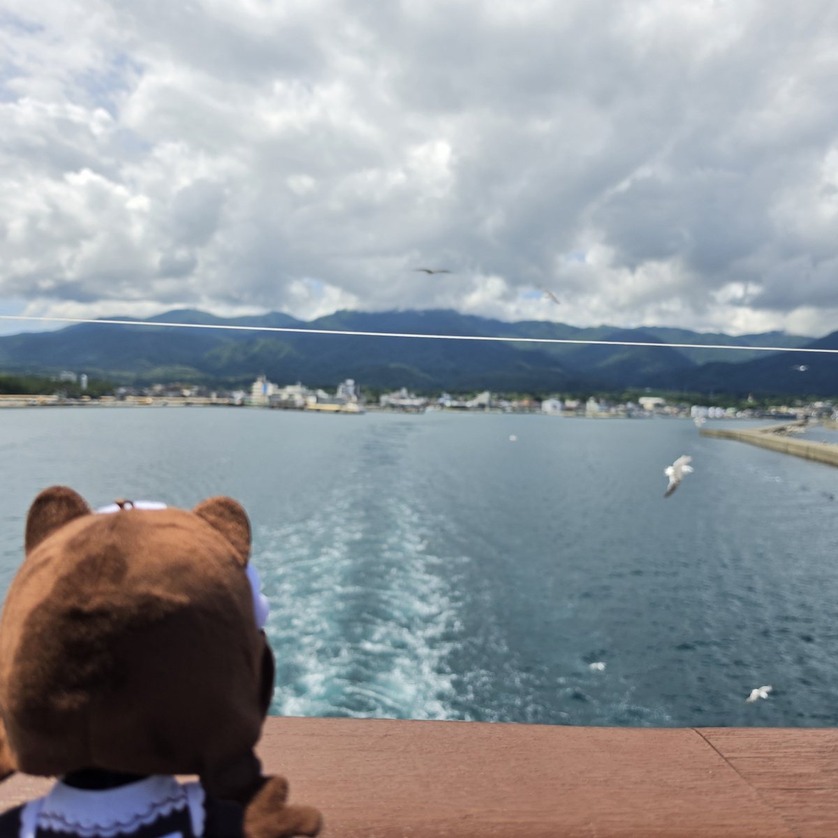 TAIGA_GTCC's tweet photo. さよなら佐渡ヶ島〜👋😭 https://t.co/kLlWxtP5Gy