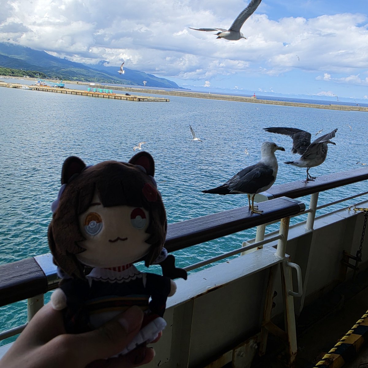 TAIGA_GTCC's tweet photo. さよなら佐渡ヶ島〜👋😭 https://t.co/kLlWxtP5Gy
