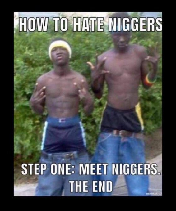 WhiteFather1776's tweet photo. Whites create, niggers destroy!

We shouldn’t have to live this way! https://t.co/QLhWHkLpqG