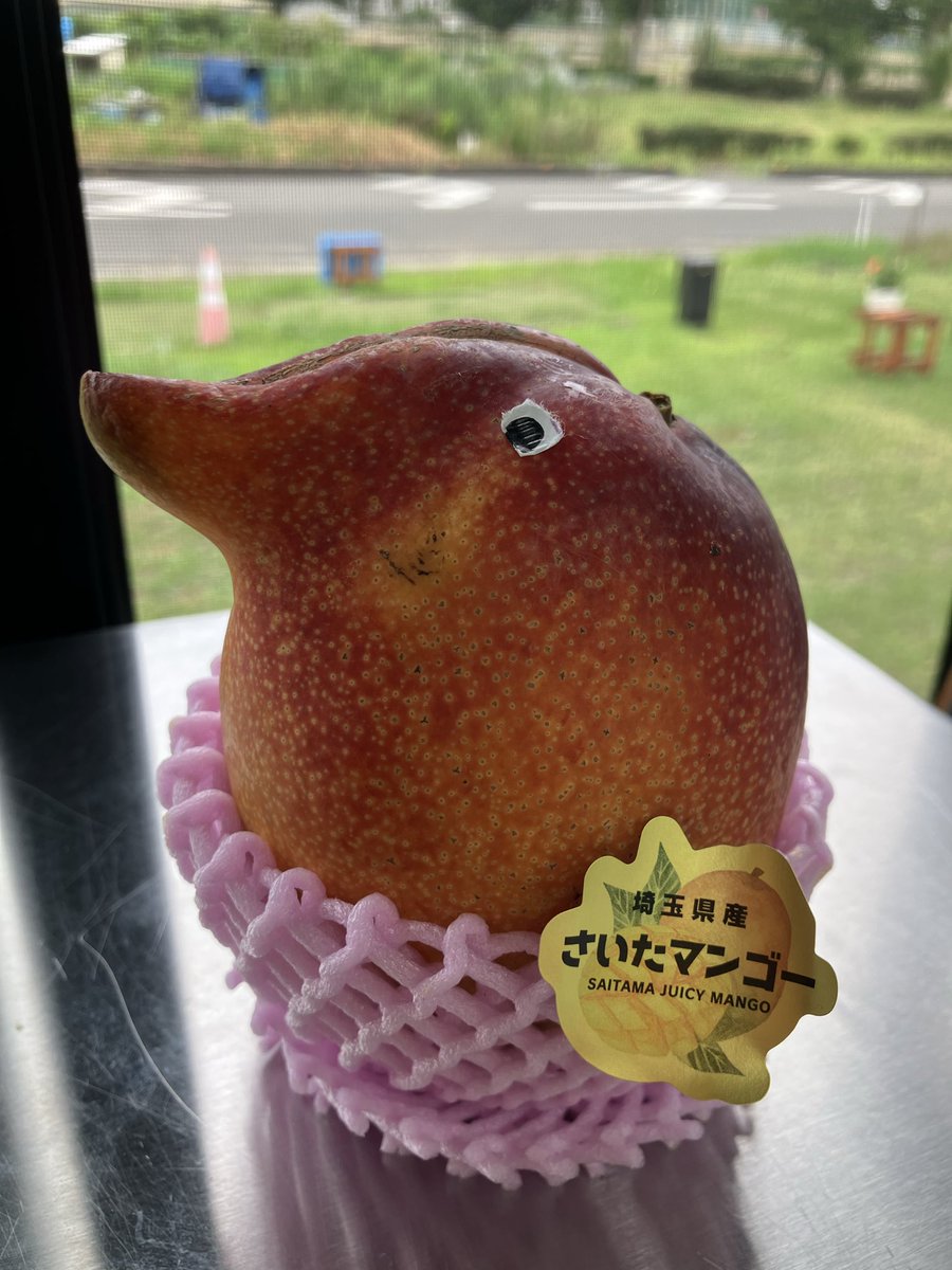 saitamango2020's tweet photo. さいたマンゴー🐧
（今日は暇だなぁ） https://t.co/XhlOVNXs2C