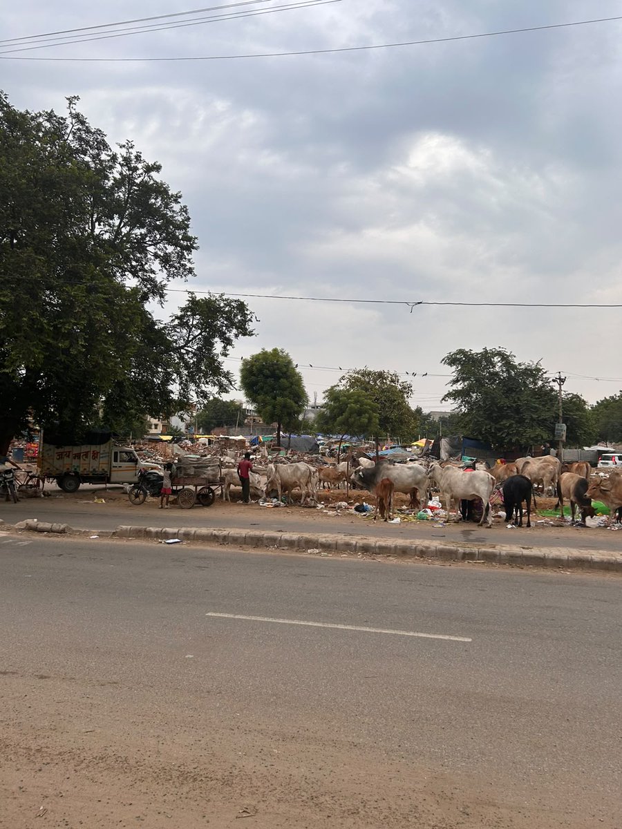 khushisinghal's tweet photo. Complaint ID-TW 21-26809
Complaint ID-TW 21-26809(A)
Complaint ID-TW 21-26809(B)
No amount of complaints, cries or requests are moving the authorities. After a clean day yesterday we are back to square one.
@CPCB_OFFICIAL 
@MunCorpGurugram 
@DC_Gurugram 
@cmohry 
@VipulGoelBJP . https://t.co/udmUhl5YYc