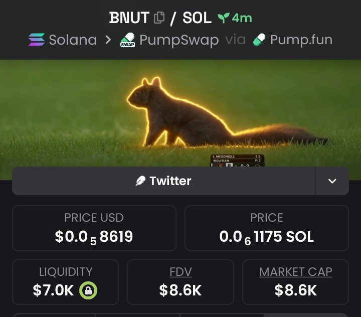Crypto__Guard's tweet photo. $BNUT 💎
CA; H3GtwGSrYRVqp7dtjkaDfjE2inydLkHwFkFJSPzrpump

Delivered at $8.6K MCAP 📈 
Private TG📩

#Solana #memecoin 
#SOL #BNUT https://t.co/VfdlCoR1Fz