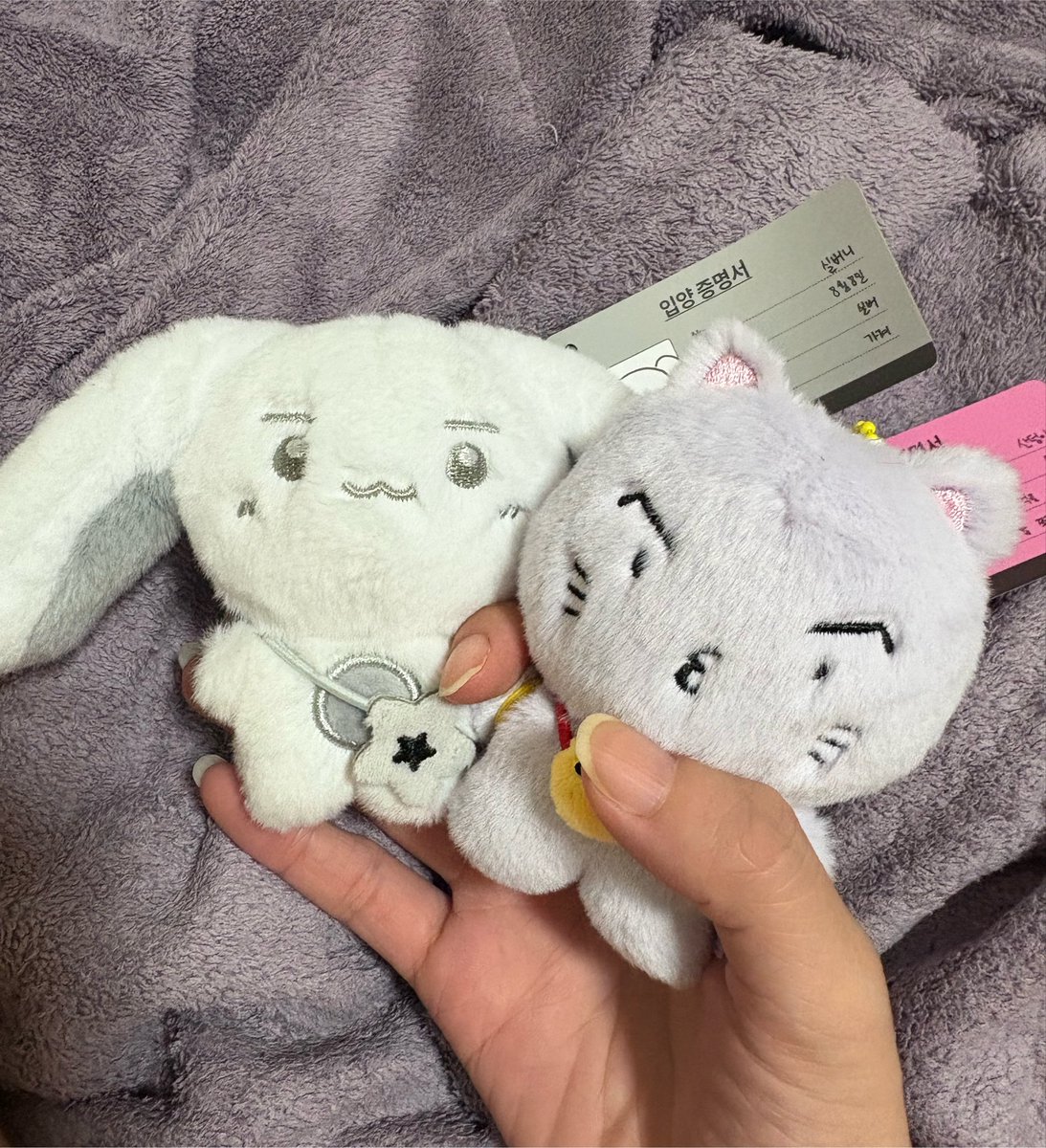 rain_ksh_pow's tweet photo. ポプアプ行ってきてぬいも買ったんだ…🥰💕 https://t.co/ctofRZSR0h