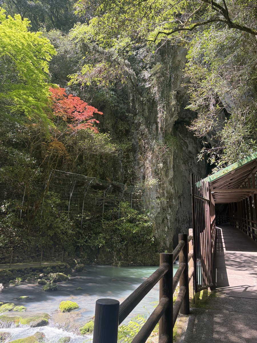 r1u019's tweet photo. 気分転換はとても大事‼️ https://t.co/kSWpbgaEEm