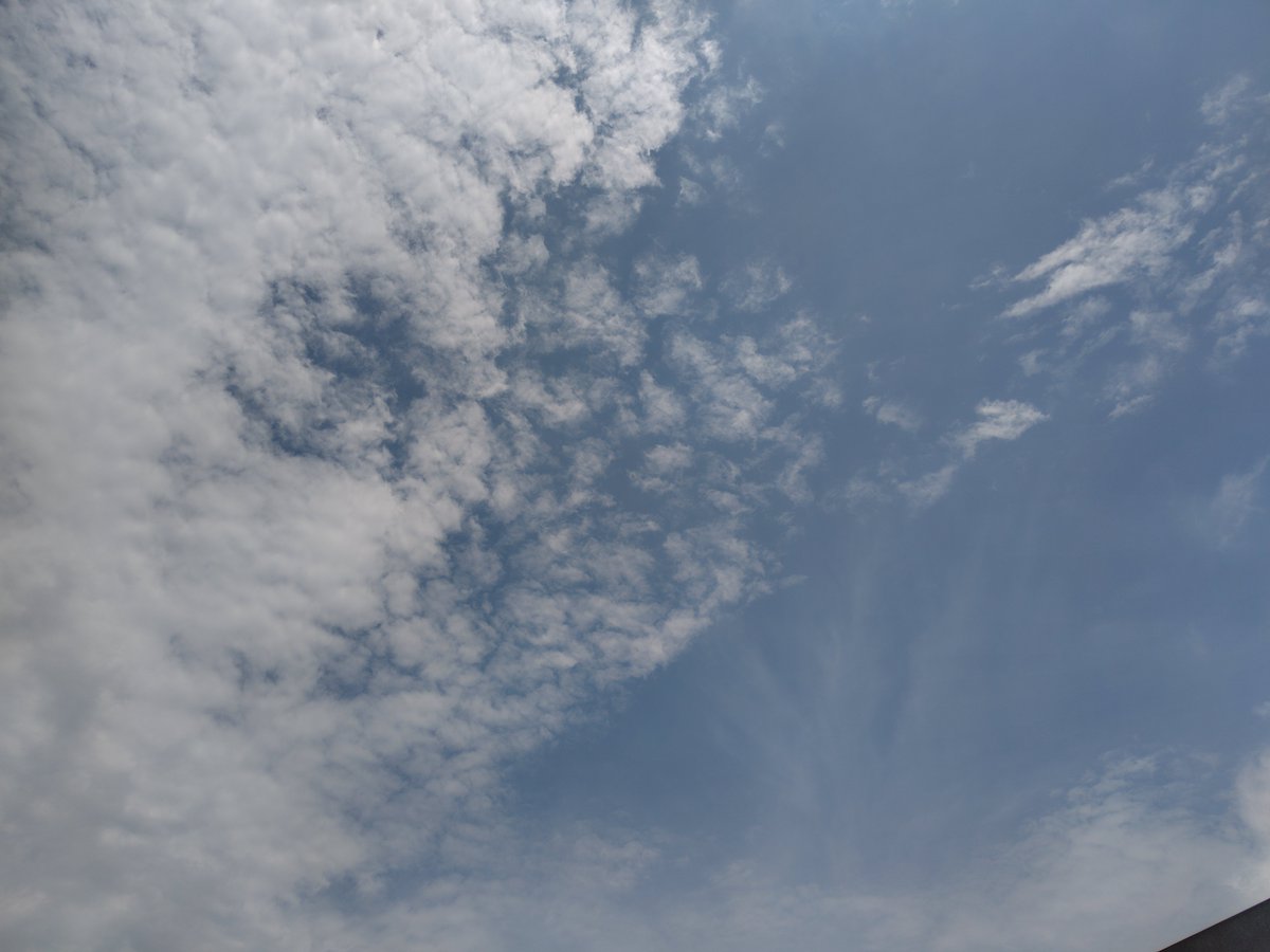 ashizuri2007's tweet photo. 今日は予報ですと午前から雨、日中は本降りでそのまま夜まで雨が継続でした。
⋯見事にケも無し。雨どこ行った〜おーい。
もしかして流行りの「降る降るサギ」か？ https://t.co/4sEEcOiU3k
