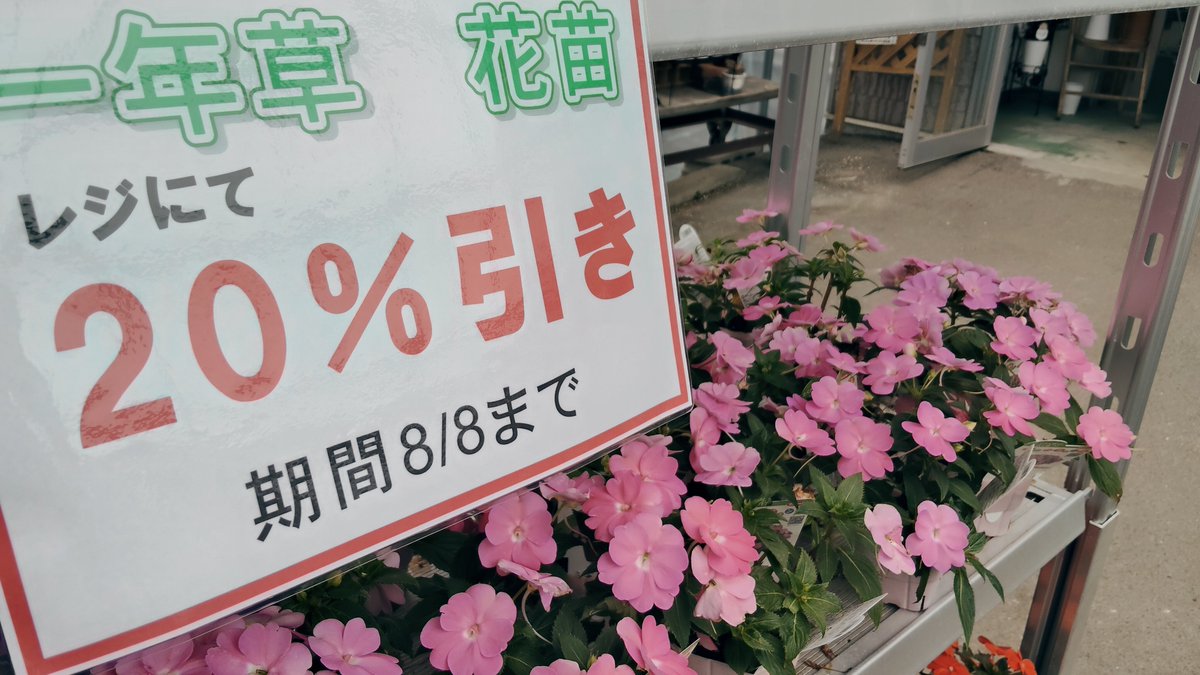 iwasa472000's tweet photo. こんにちは☀
しばらく留守にしておりました🙏
8/8まで一年草20%引きセール開催中🌼毎年恒例のアメリカシロヒトリの情報も💦🐛
効く農薬ありますので困ったことがあれば是非🙌 https://t.co/NUasmWOJET