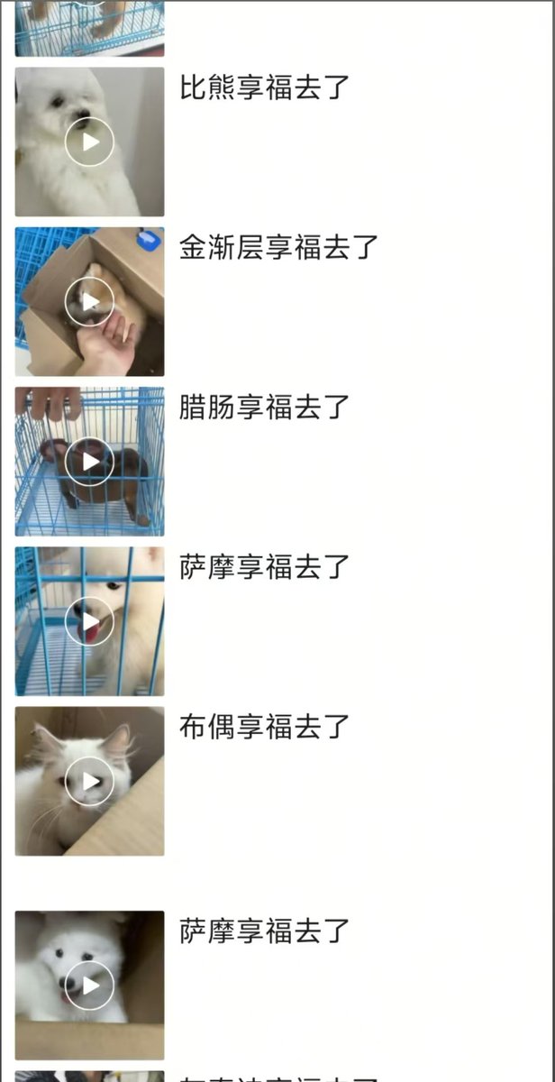 fufu1367612's tweet photo. 吓死我了，原来是被主人领走了啊

搁我家那边“享福去了”是死了的意思。

——“你妈身体还挺好的？”
——“享福去了” https://t.co/yaJcVjKIGI