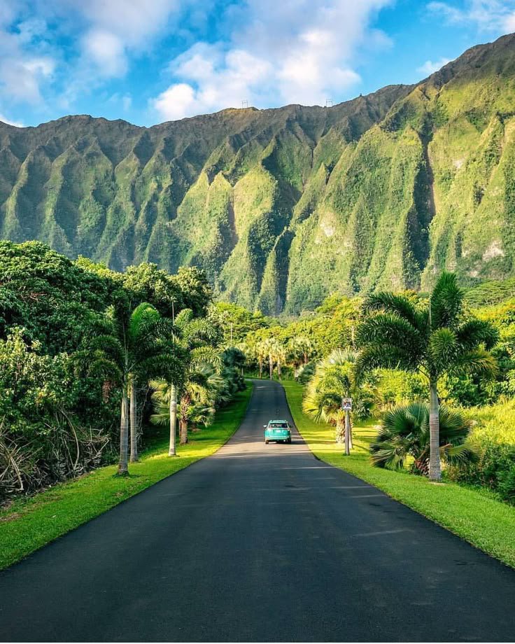 NaturalWorld515's tweet photo. Hawaii https://t.co/RQ0oMAIRrn