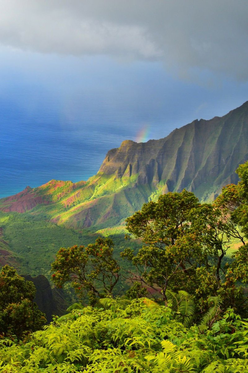 NaturalWorld515's tweet photo. Hawaii https://t.co/RQ0oMAIRrn