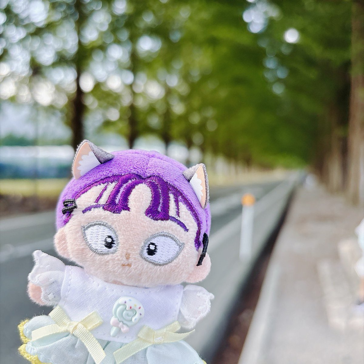 sayu22mint's tweet photo. 旅行お気に入り写真たち。そのいち。

#rkrnぬい撮り部
#ほわぬいといっしょ https://t.co/FYTzjpVWV0
