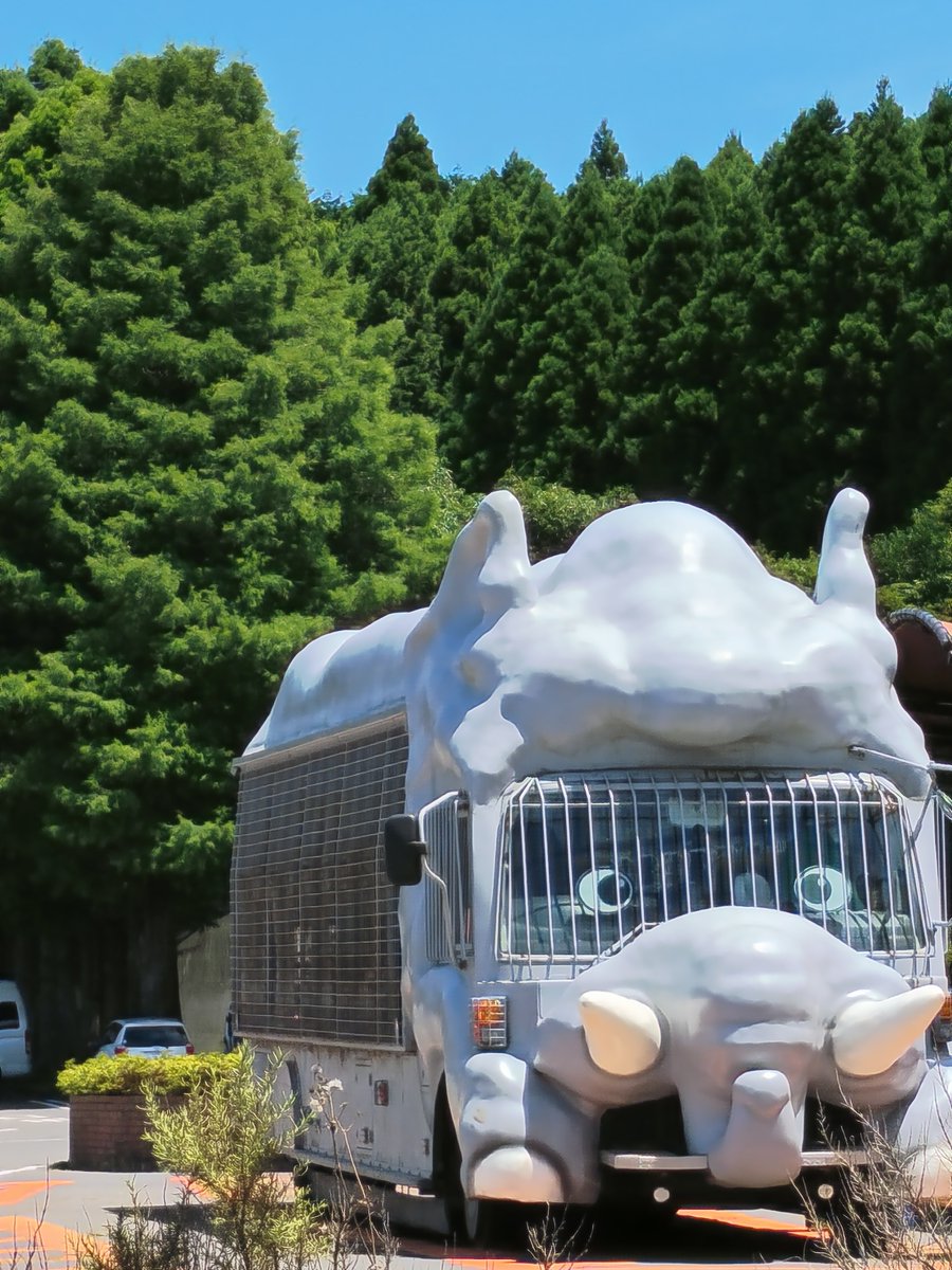 setouchi_ssfish's tweet photo. 死ぬほど暑い🫠 https://t.co/ams1MgW8rJ