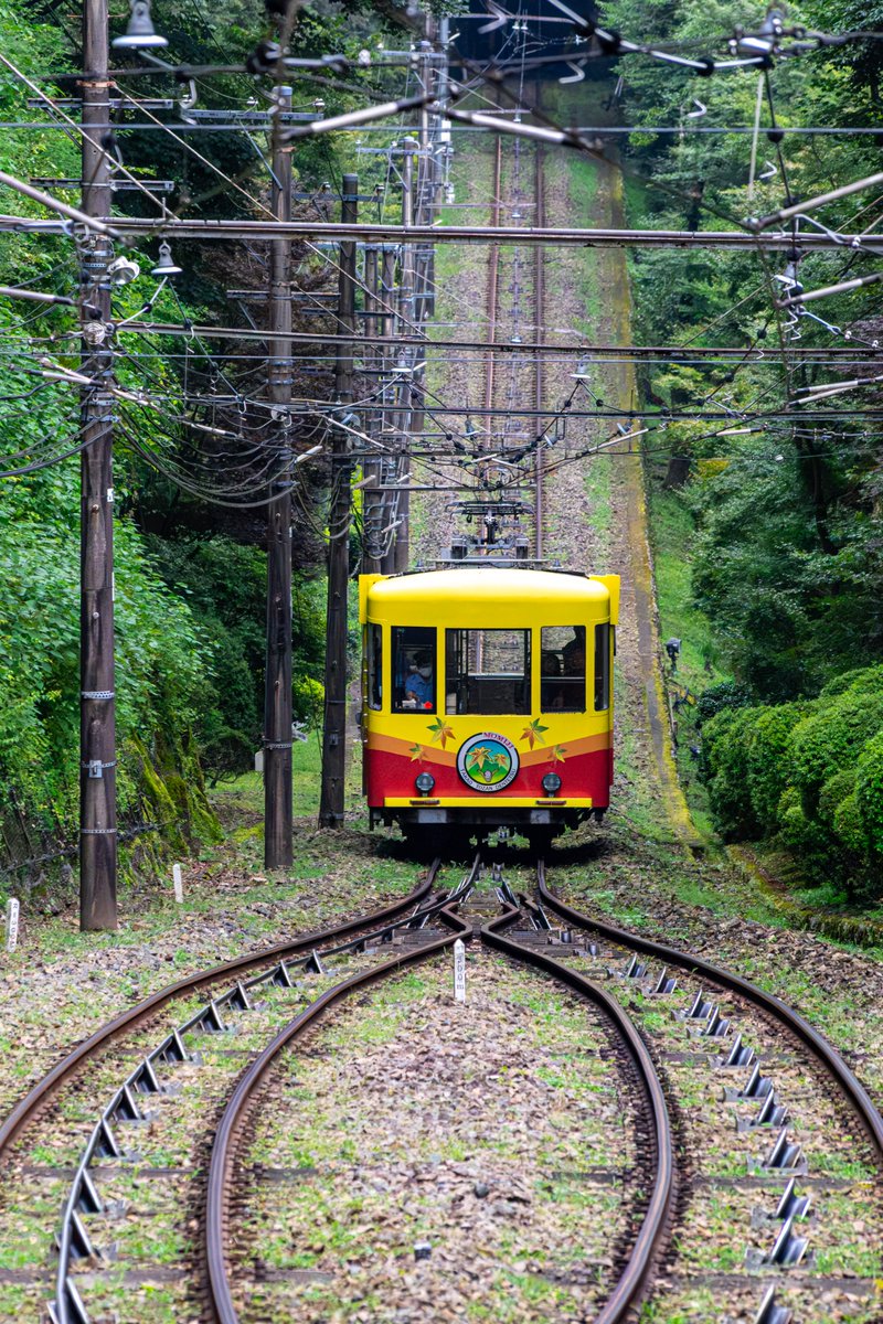 ef64_34's tweet photo. 7/28.  昨日の撮影です。小雨がパラついていましたが、高尾山ビアマウントのついでに登山電車を往復とも撮ってみました…(^^) https://t.co/WgKVuknL9b