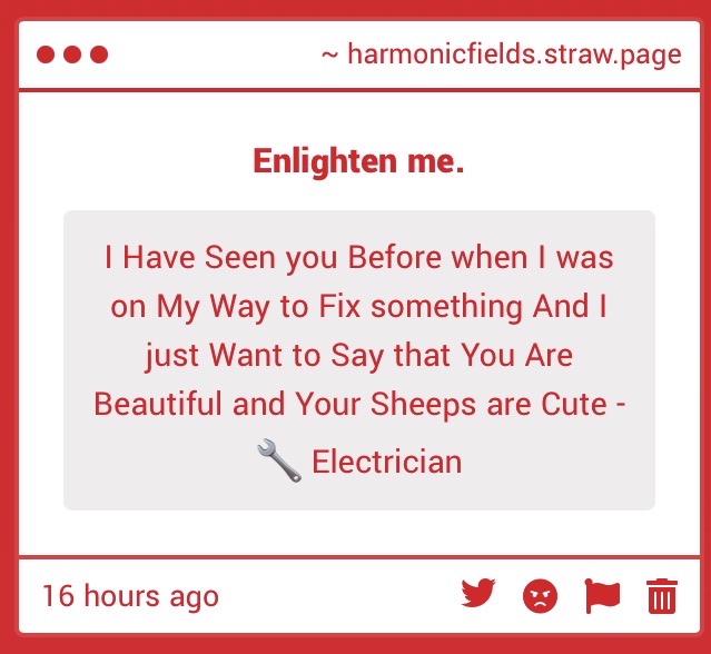 shepherd tweet media