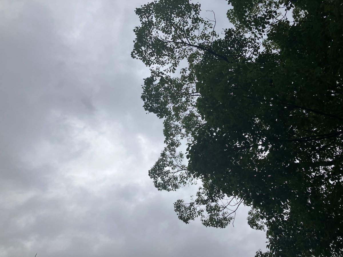 PocopNo's tweet photo. Omnes, bonum mane🫠
Sicut heri, caelum hodie quoque nubibus tectum est☁️
Ad vesperum paulisper pluvia cadet.

Hodie quoque labor a meridie incipit⛏️
Mane ad magistratus et nosocomium🏥ivi.
Debuff adhuc sentio🧟
Resistentia ad calorem magna est, tamen…💧

#CaelumHodie https://t.co/Nr1eACmIIV