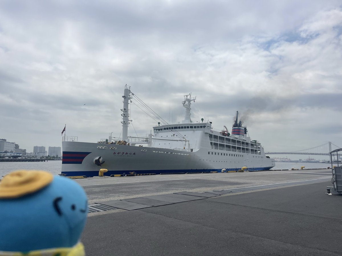 ogajiro1968's tweet photo. 今日のおが丸は
499名のフレンズを乗せて小笠原へ‼️🚢🌴

そして明日は満月らしいゾ🌕✨
24時間の船旅のあと、島の夜には
まんまるなお月さまが見られるかもだナ👀

ボニンブルーの海も、夏の夜空も
たっぷり楽しんできてくれよ～！

Have a nice summer trip🌺
#ogasawalove #7月の小笠原 https://t.co/3pKPXpGwnU
