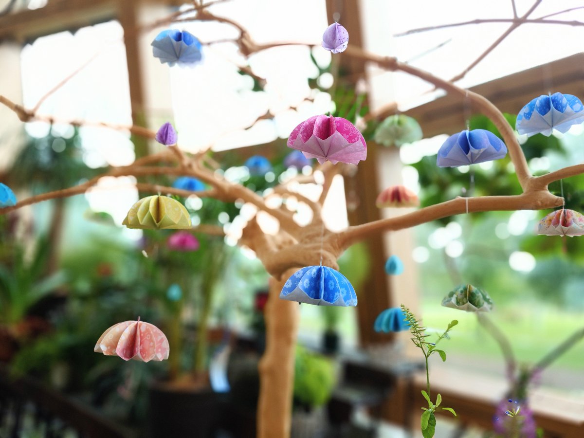 本降り☂️アルパカちゃん達はカンカン照りより過ごしやすいようです🌿