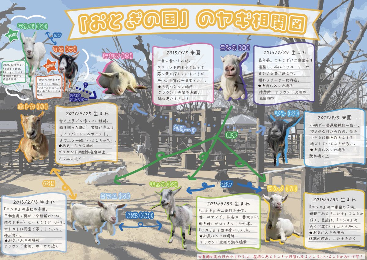 kyotoshidoubut1's tweet photo. ヤギの相関図を作ってみました🐐✨

新しいヤギ2頭が仲間入りしたので、おとぎの国で暮らすヤギたちの関係性をまとめてみました👀ヤギたちの中にもそれぞれの関係性があり、よく観察してみると人間模様ならぬ、ヤギ模様が見えてくるかもしれません🤭 https://t.co/Tv6uvRvlIW