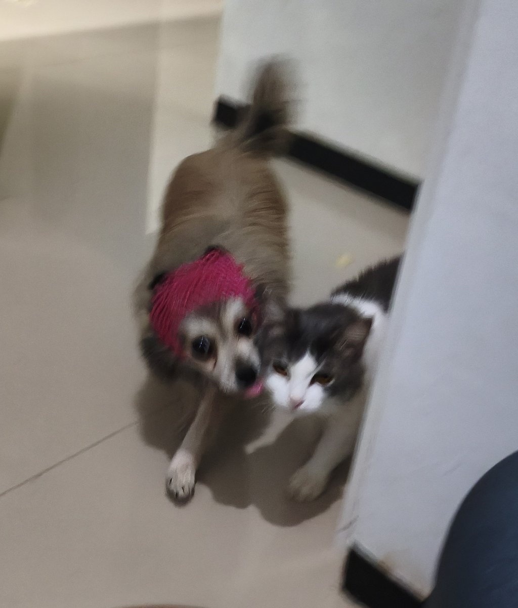 ciohri's tweet photo. I lovvvvv u my 2 bbys 🥰🫰 https://t.co/KEaiuGpQCW