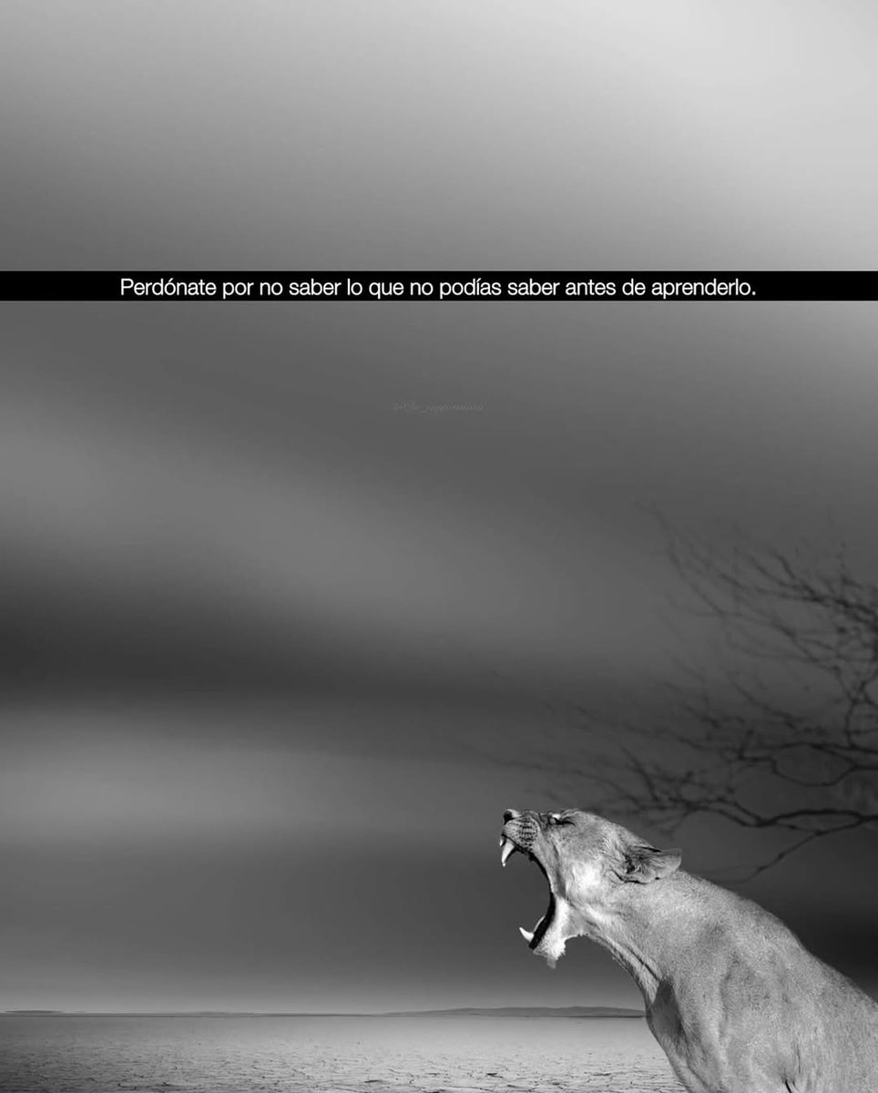 in_conformitf16's tweet photo. No sabías lo que hoy sabes.
Y eso no te hace débil.

Te hace humano.

Vivimos exigiéndonos perfección antes de la experiencia.
Queremos reaccionar con sabiduría sin haber atravesado la herida. Pero no funciona así. El fuego enseña.

Y antes de ilumin... https://t.co/qbd0023toY