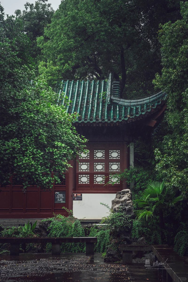 visit_wuhan's tweet photo. 🚶Zhongshan Park has been Wuhan's green heart for over a century, its towering trees holding generations of memories. Rowboats glide across the lake as morning tai chi flows and children's laughter fills the afternoon.🧩
#Wuhan #ZhongshanPark #CityOasis #HistoricPark #LocalLife https://t.co/L1Ig1WNYCY