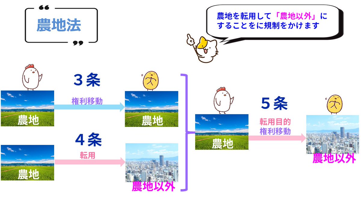 宅建士試験/通学講座/通信講座/パススルシリーズ/資格の大原/川村講師
