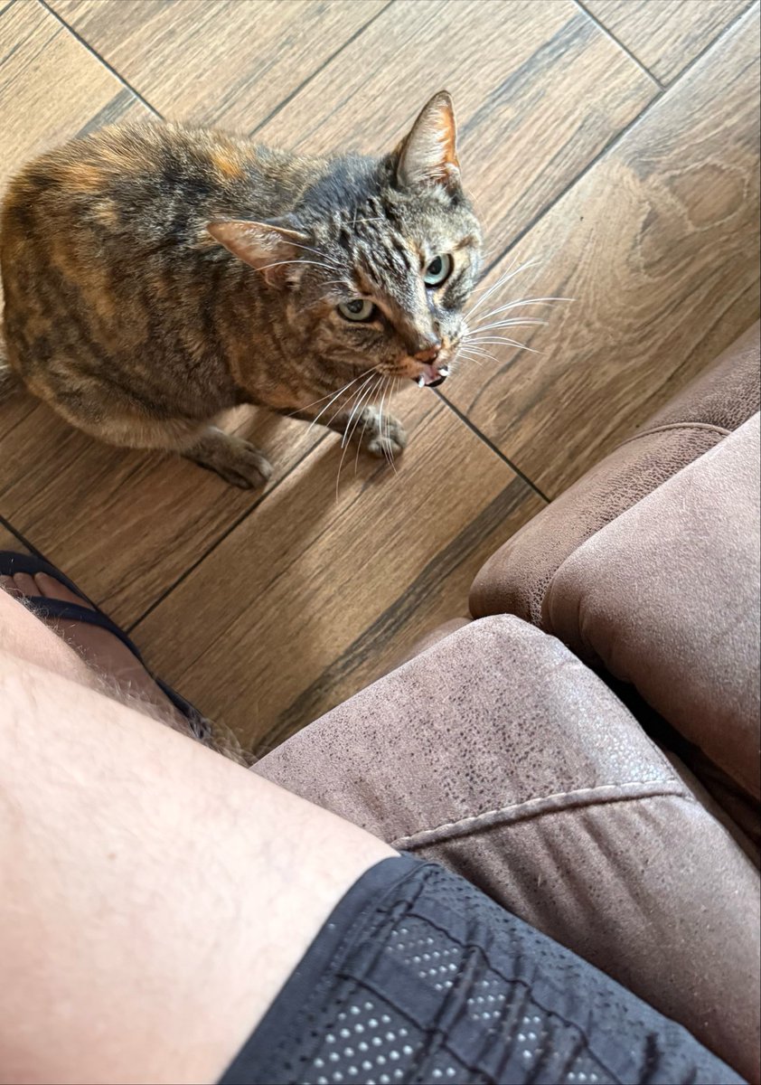 alter_egoesv's tweet photo. Miau 🐱 https://t.co/tEZhOHGozB