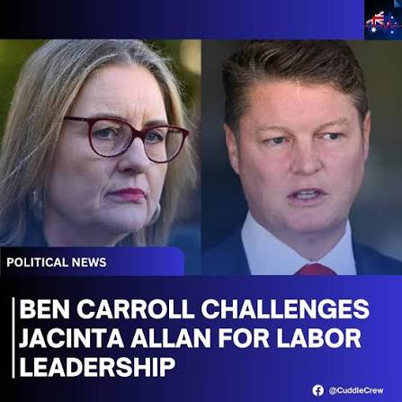 Glenn02936110's tweet photo. Carroll is in this for the pension, he's not fit to serve fries at Maccas let alone be Premier.
Allan will now piss off to a safe place with her millions as when the Big Build is exposed as the rort it is she wont be able to be seen in public. https://t.co/WP8lzW13iG