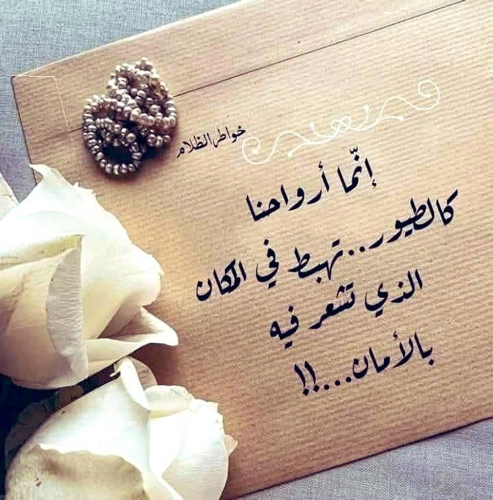 zahrani077_asjz's tweet photo. "للبشرِ في حياتنا أرصدةٌ كأرصدةِ البنوكِ تمامًا ..!
منهم من يحافظ علي رصيدِهِ عندك ؛
يقدِّرُ وجودك، 
يهتمُّ بك بلا مصلحةٍ ،
يحبّك، ولا يؤذي قلبَك أو يحمّلُكَ ما لا طاقة لك به .
ومنهم من نفذَ رصيدُهُ  
الأفعال.. المواقف .. والحضور أو ذلك الغياب الكريه والمؤذي، جميعهم أمورٌ تزيدُ قيمةَ الاشخاص في حياتنا أو تمحيها للأبد"