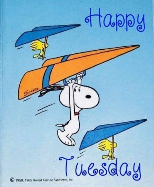 snoopyandfrien6's tweet photo. Happy 
Tuesday https://t.co/2BzfbOIAkh